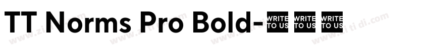 TT Norms Pro Bold字体转换 TT Norms Pro Bold字体转换
